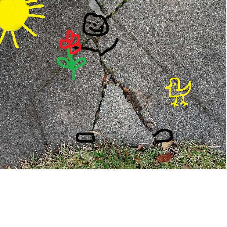 sidewalk-crack-art